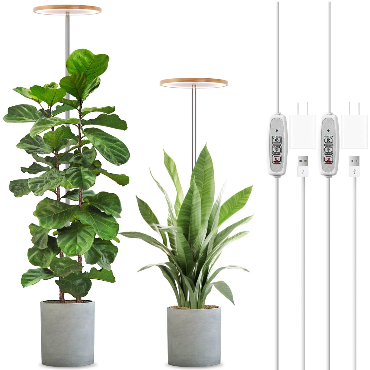 LORDEM Bamboo Grow Light full-spectrum setup boosts indoor plant vitality and even growth