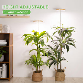 LORDEM Bamboo Grow Light height adjustment range enables tailored lighting for tall plants