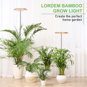 LORDEM Bamboo Grow Light two-pack delivers value and synchronized care for several pots