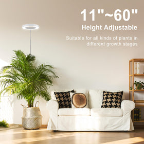 LORDEM circle diode architecture provides uniform light distribution for healthier plant growth.