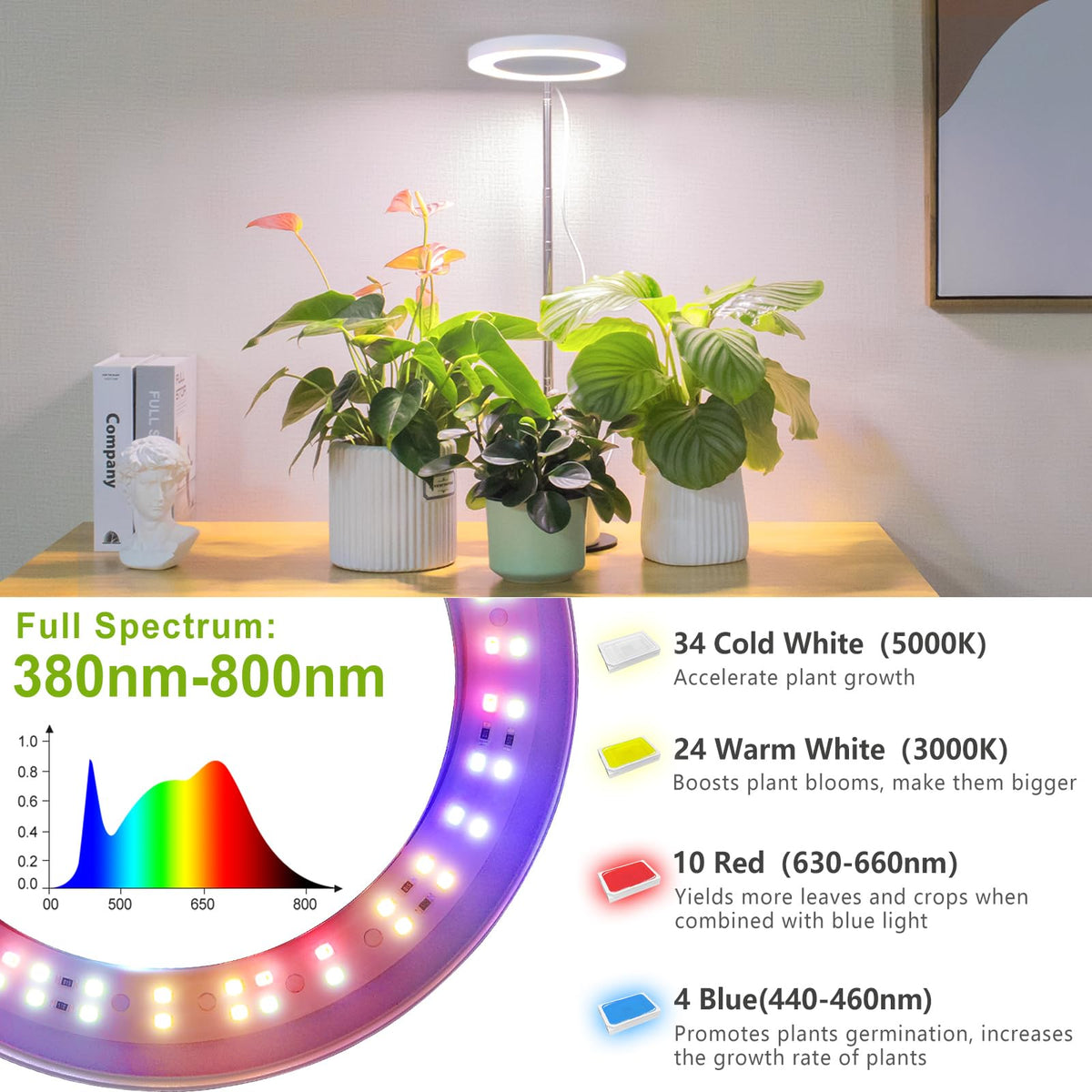LORDEM desk-friendly compact design fits on shelves and tables