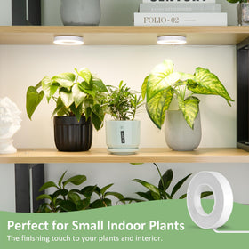 LORDEM compact 3.54-inch unit fits small pots and shelves.