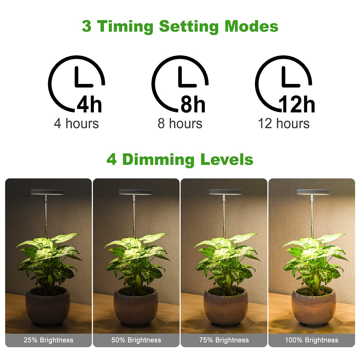 LORDEM four brightness levels adapt lighting to plant needs.