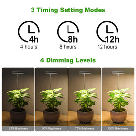 LORDEM four brightness levels adapt lighting to plant needs.