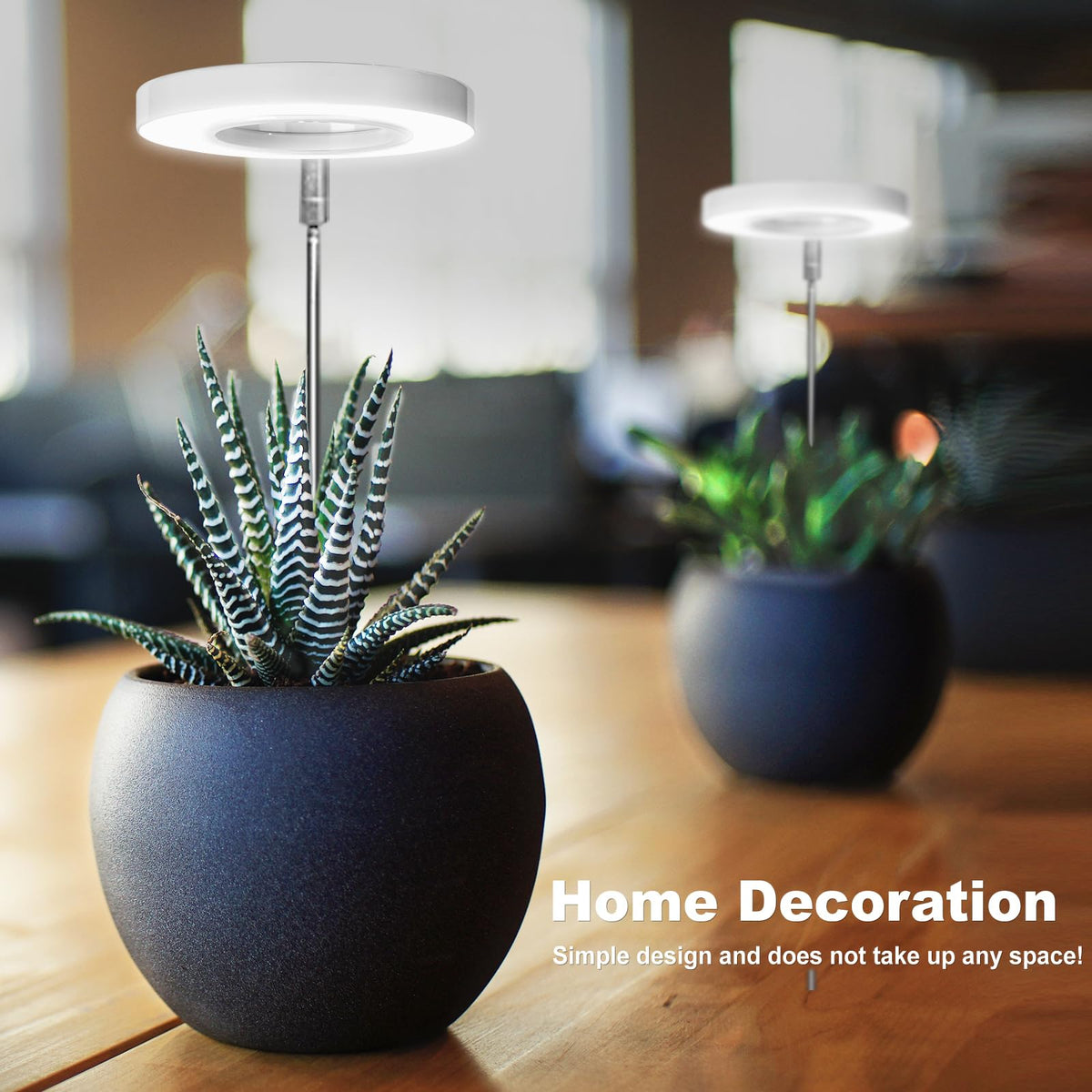 LORDEM full-spectrum LED panel setup supports indoor plants through growth stages.