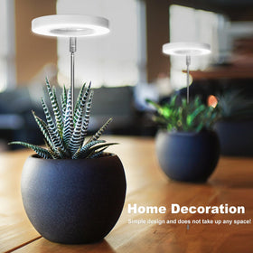 LORDEM full-spectrum LED panel setup supports indoor plants through growth stages.