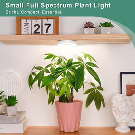 LORDEM grow light auto timer keeps a consistent daily schedule