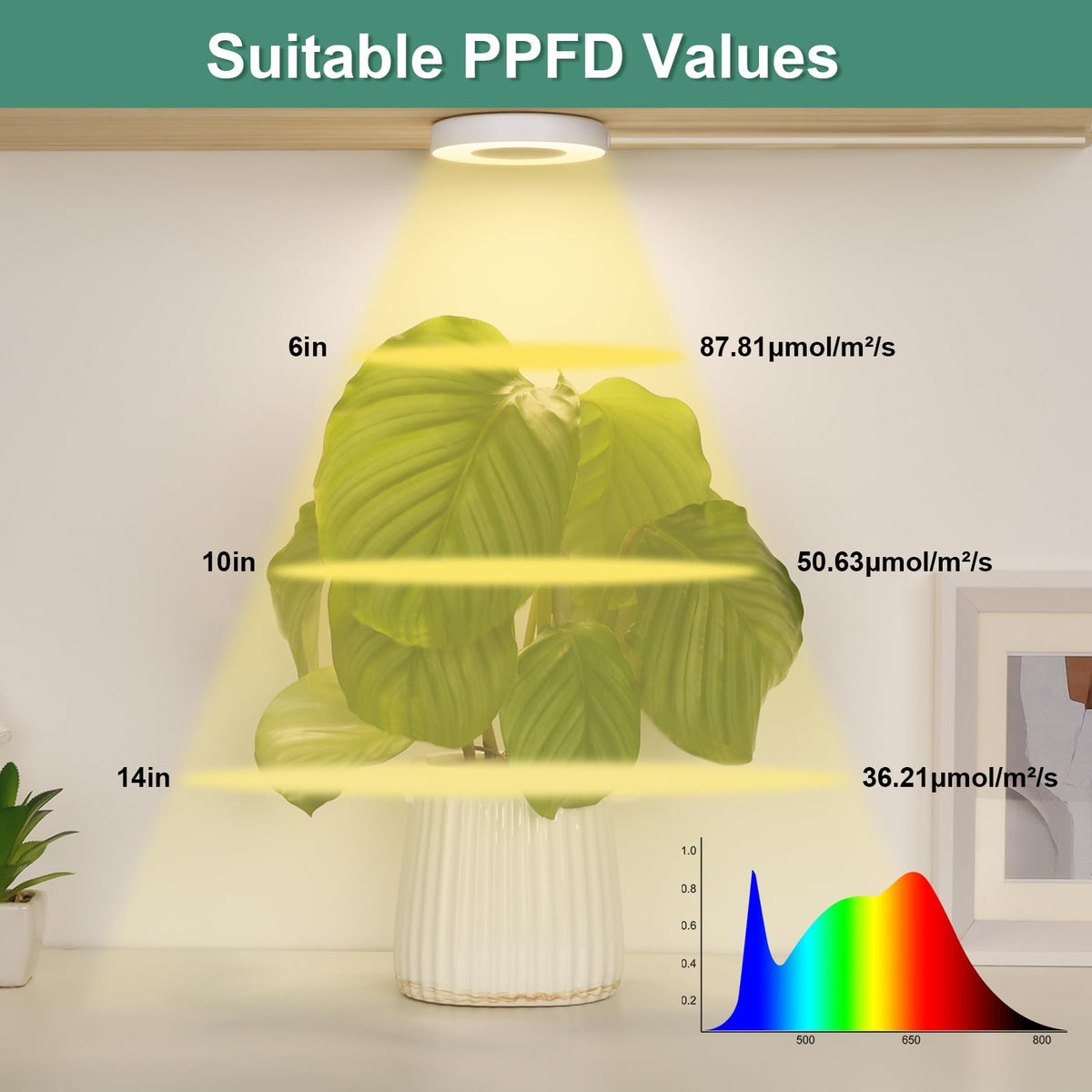 LORDEM grow light easily mounts with double-sided tape on shelves