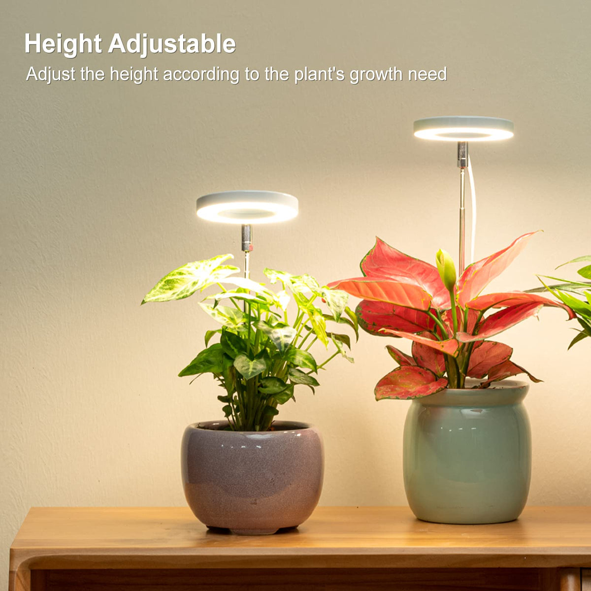 LORDEM Grow Light full-spectrum 380-800nm highlighting growth for herbs and greens