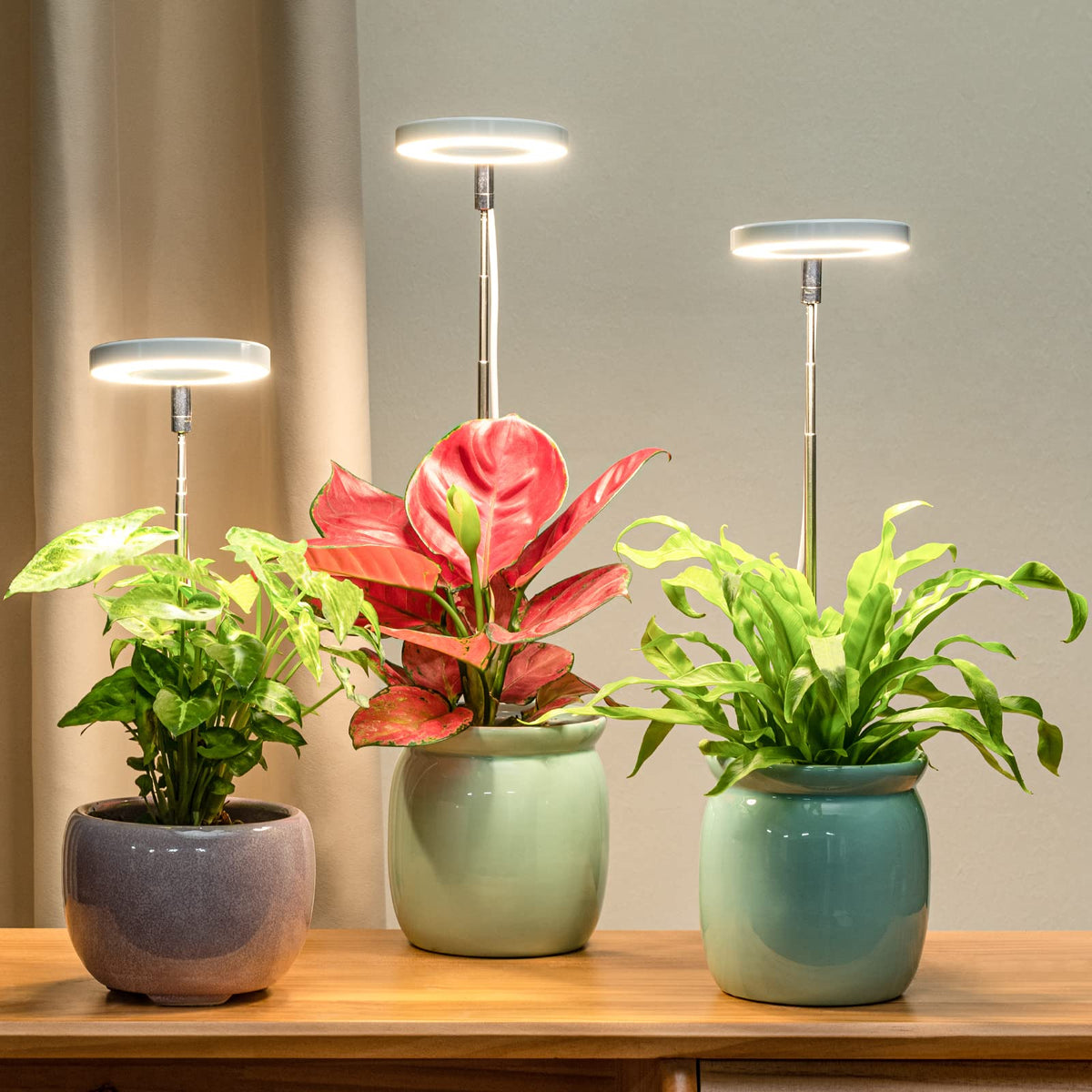 LORDEM Grow Light full-spectrum 380-800nm supports herbs and succulents.