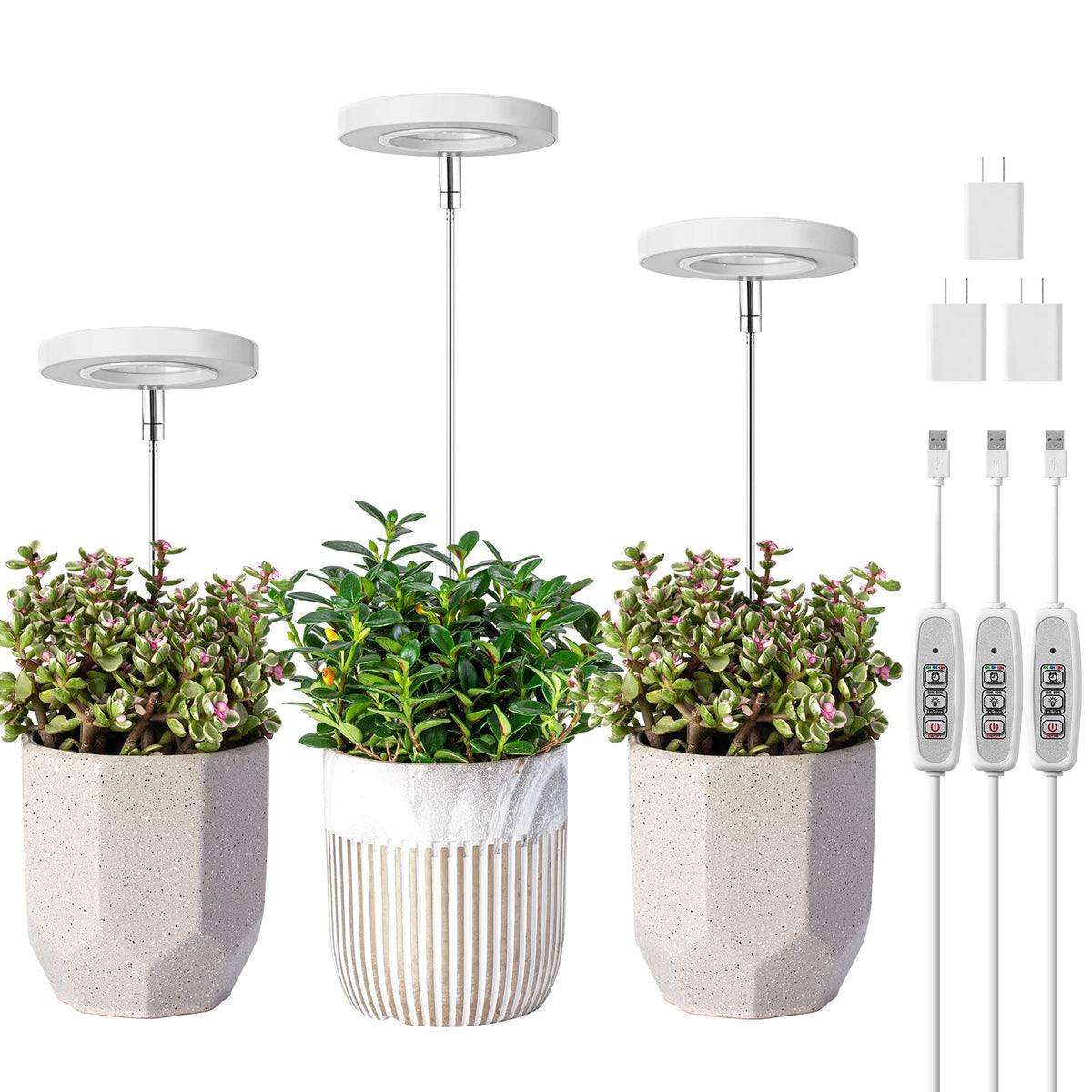 LORDEM Grow Light halo-design three-pack boosts indoor plant growth with stylish decor.