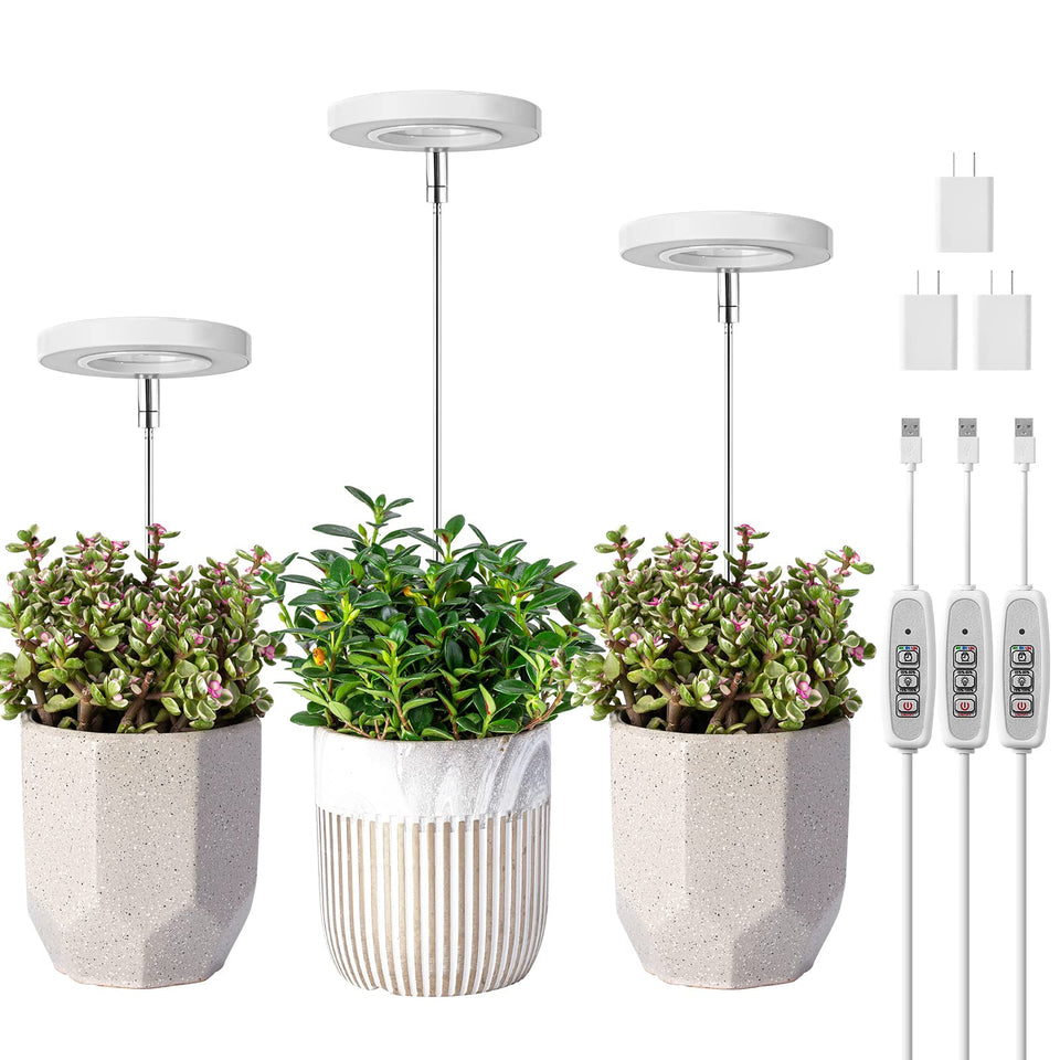 LORDEM Grow Light halo-design three-pack boosts indoor plant growth with stylish decor.