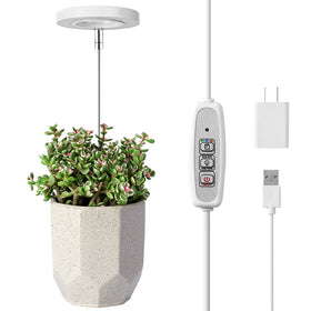 LORDEM Grow Light halo design illuminates space while supporting plant growth