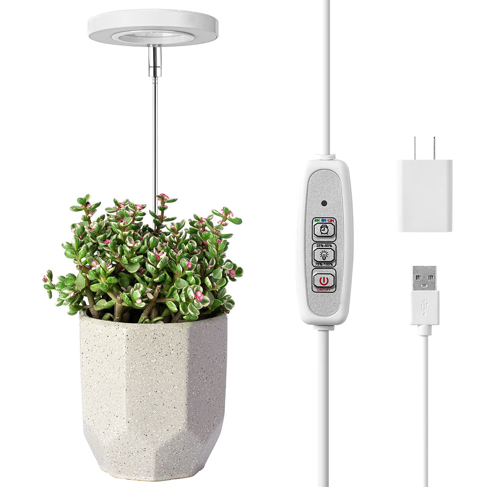 LORDEM Grow Light halo design illuminates space while supporting plant growth