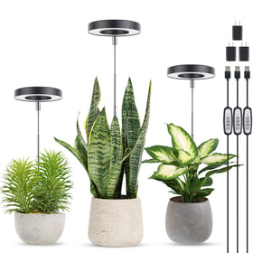 LORDEM Grow Light halo design enhances decor while boosting plant growth.