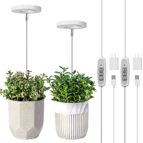 LORDEM grow light halo pair front view boosts indoor plant growth with decorative glow.