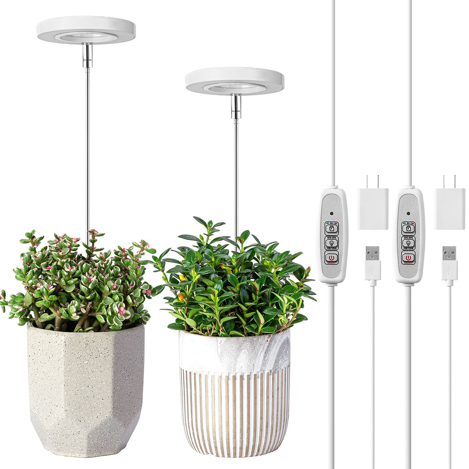 LORDEM grow light halo pair front view boosts indoor plant growth with decorative glow.