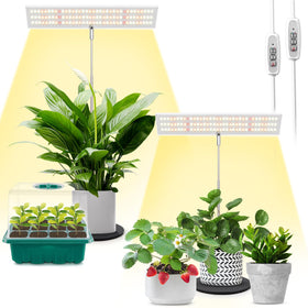 LORDEM grow light panel front view for compact desk plant lighting