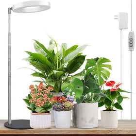 LORDEM Grow Light with stable base for desk use and steady plant care