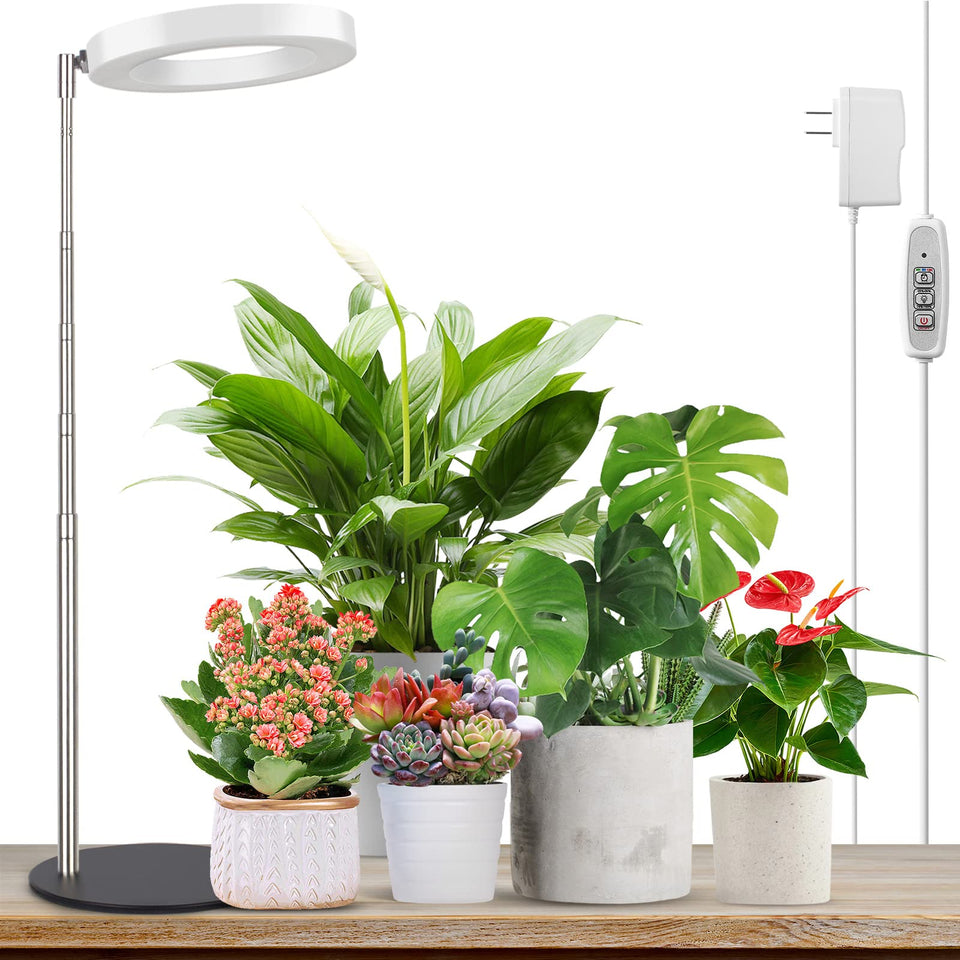 LORDEM Grow Light with stable base for desk use and steady plant care