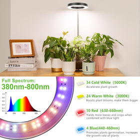 LORDEM Grow Light sturdy metal base provides stable desk placement