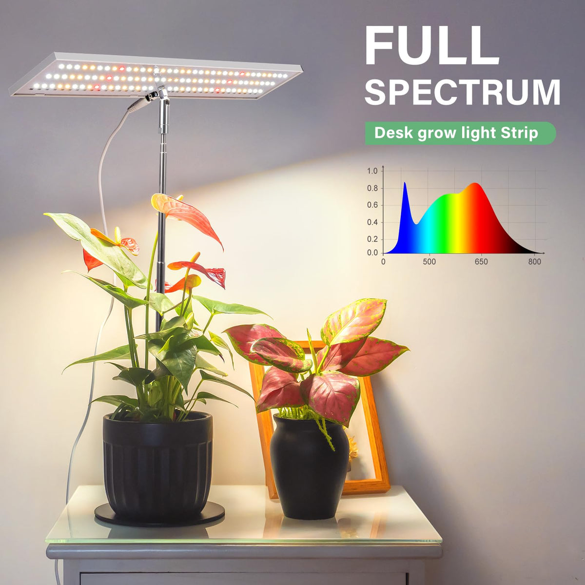 LORDEM Grow Light timer settings illustrate daily on/off cycles for hassle-free plant care.