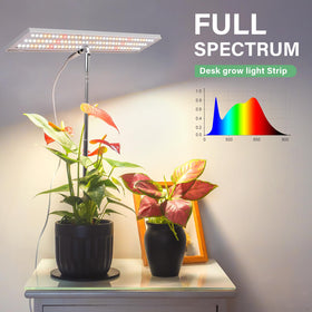 LORDEM Grow Light timer settings illustrate daily on/off cycles for hassle-free plant care.
