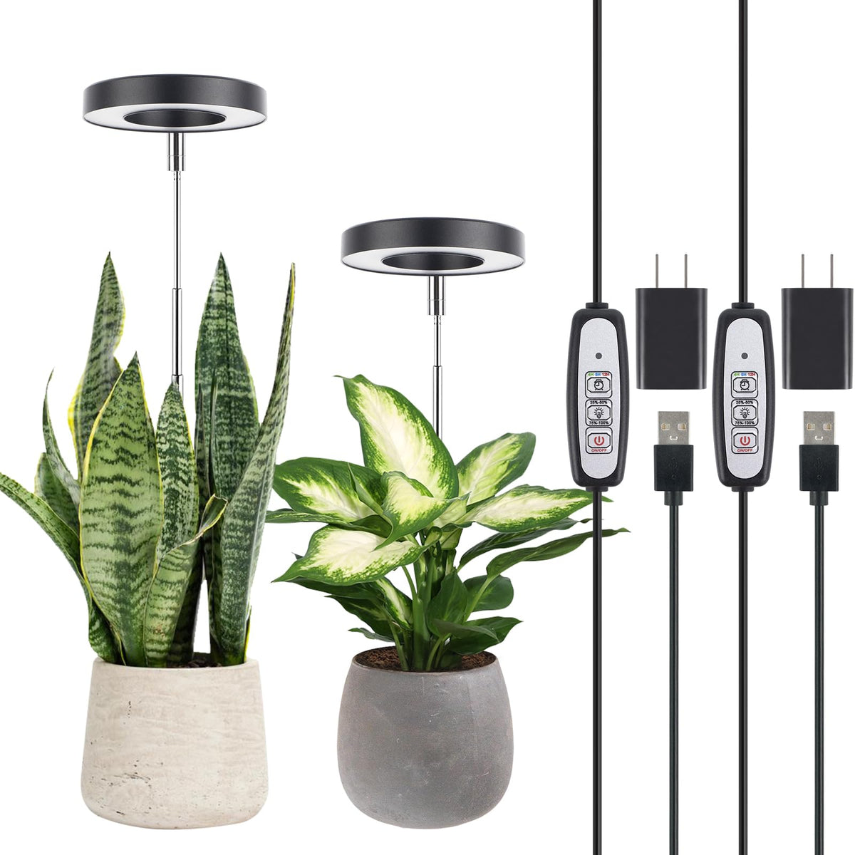 LORDEM halo-design grow light enhances décor while supporting plant growth.