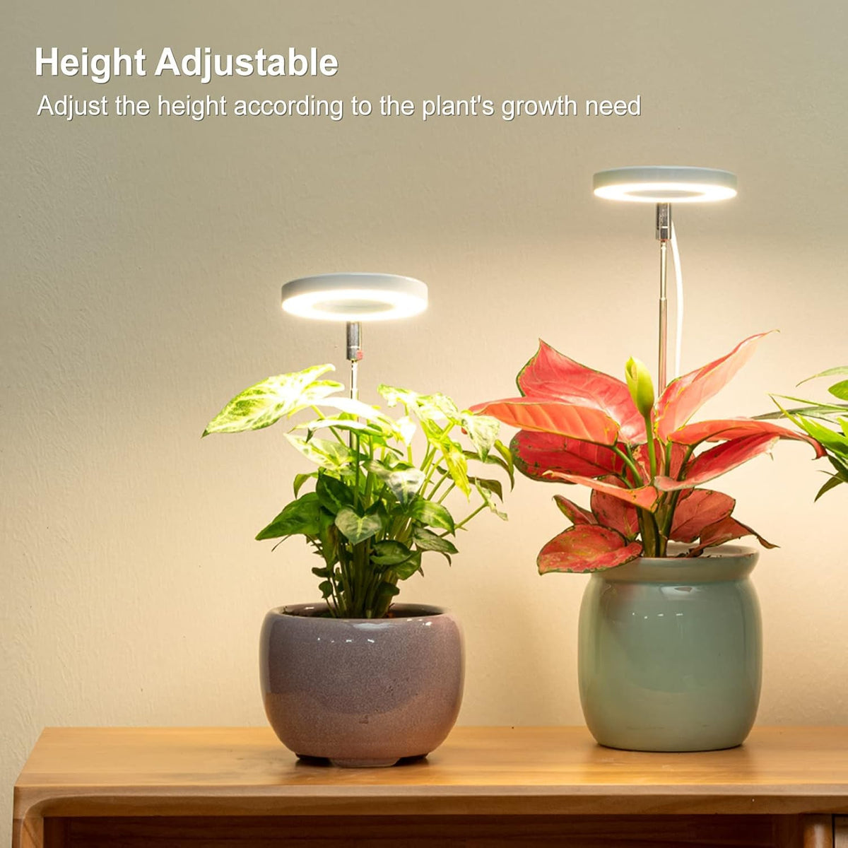 LORDEM height-adjustable light stem accommodates various plant heights.