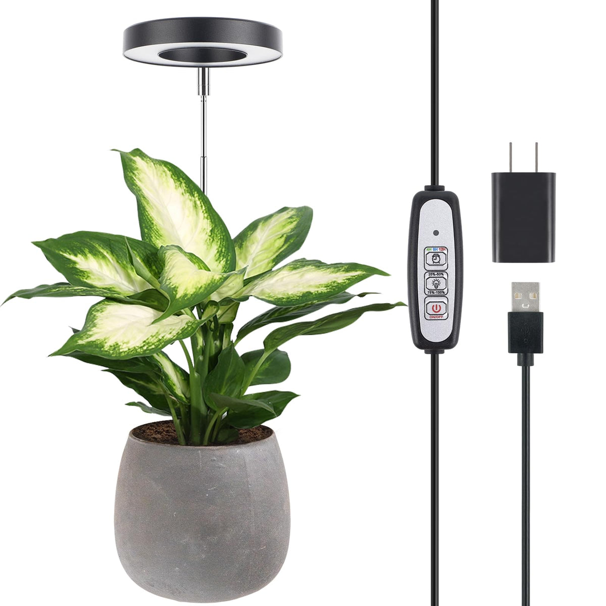 LORDEM Plant Grow Light with halo design enhances indoor decor while supporting plant growth.