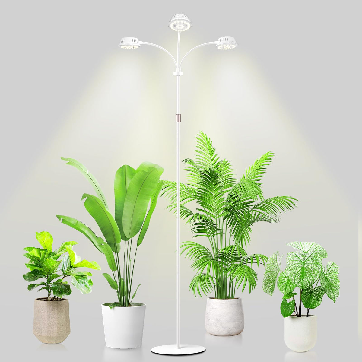 LORDEM tri-head grow light front view supports robust indoor plant growth