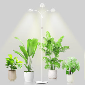 LORDEM tri-head grow light front view supports robust indoor plant growth