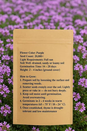 Loseedsoo creeping thyme bloom closeup highlights lavender flowers brightening borders
