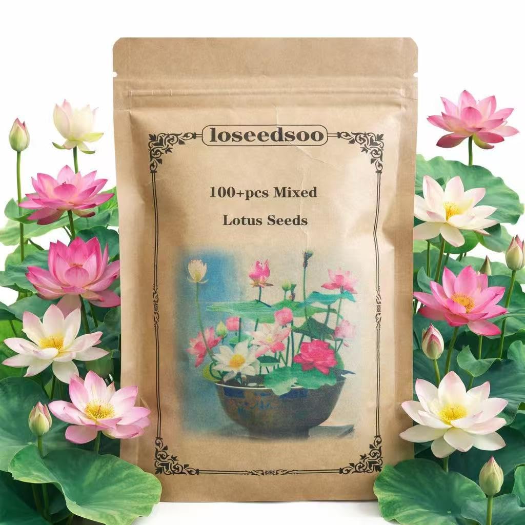 Loseedsoo mixed lotus seeds pack ideal for easy planting in ponds and bowls