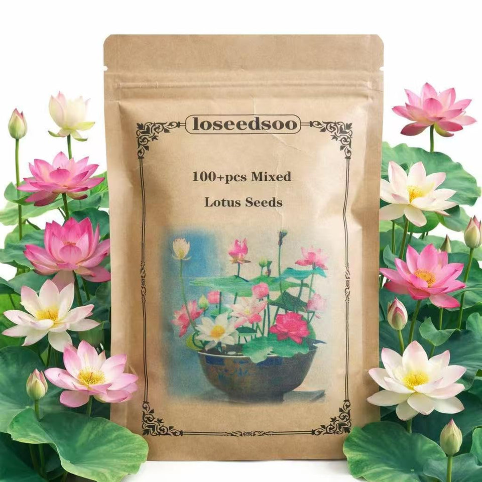 Loseedsoo mixed lotus seeds pack ideal for easy planting in ponds and bowls