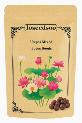 Loseedsoo premium lotus seeds packaging for easy water planting in ponds