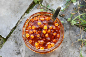 Loseedsoo Sea Buckthorn seeds in sun ideal for bright borders and wildlife.
