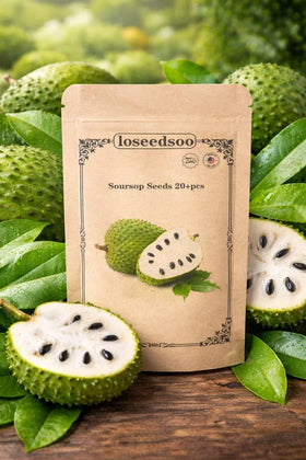 Loseedsoo soursop seeds pack sealed in moisture-resistant pouch for freshness.