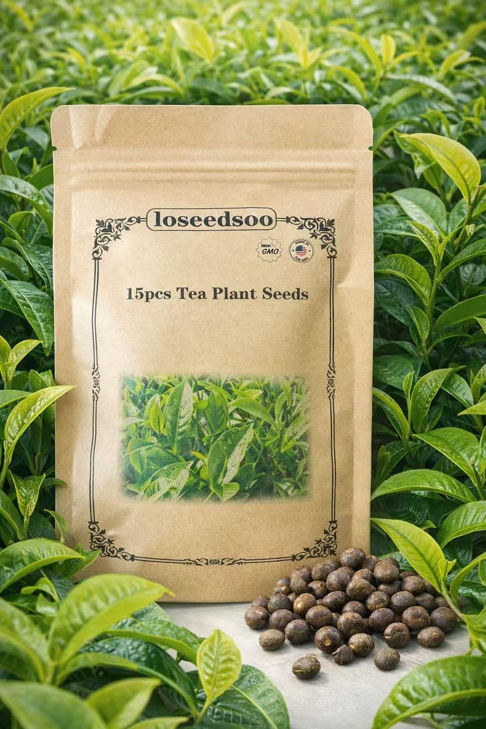Loseedsoo tea plant seeds pack ready for home tea cultivation.