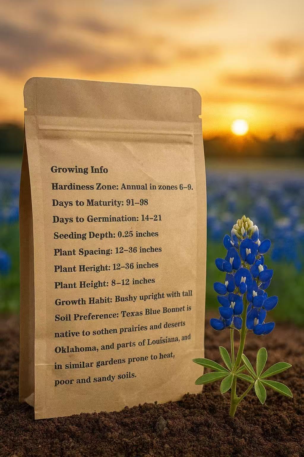 Loseedsoo Bluebonnet seeds germinating in soil, starting a blue prairie display.