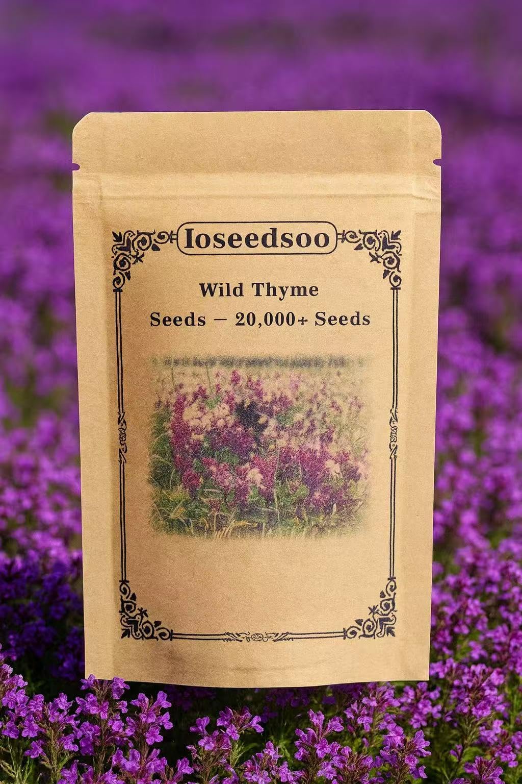 Loseedsoo Wild Thyme Seeds packaging ready for easy garden planting.