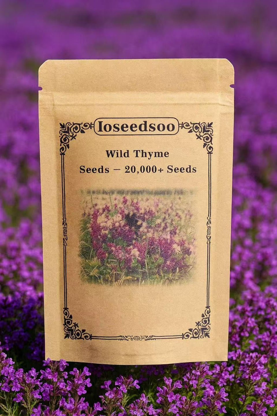 Loseedsoo Wild Thyme Seeds packaging ready for easy garden planting.