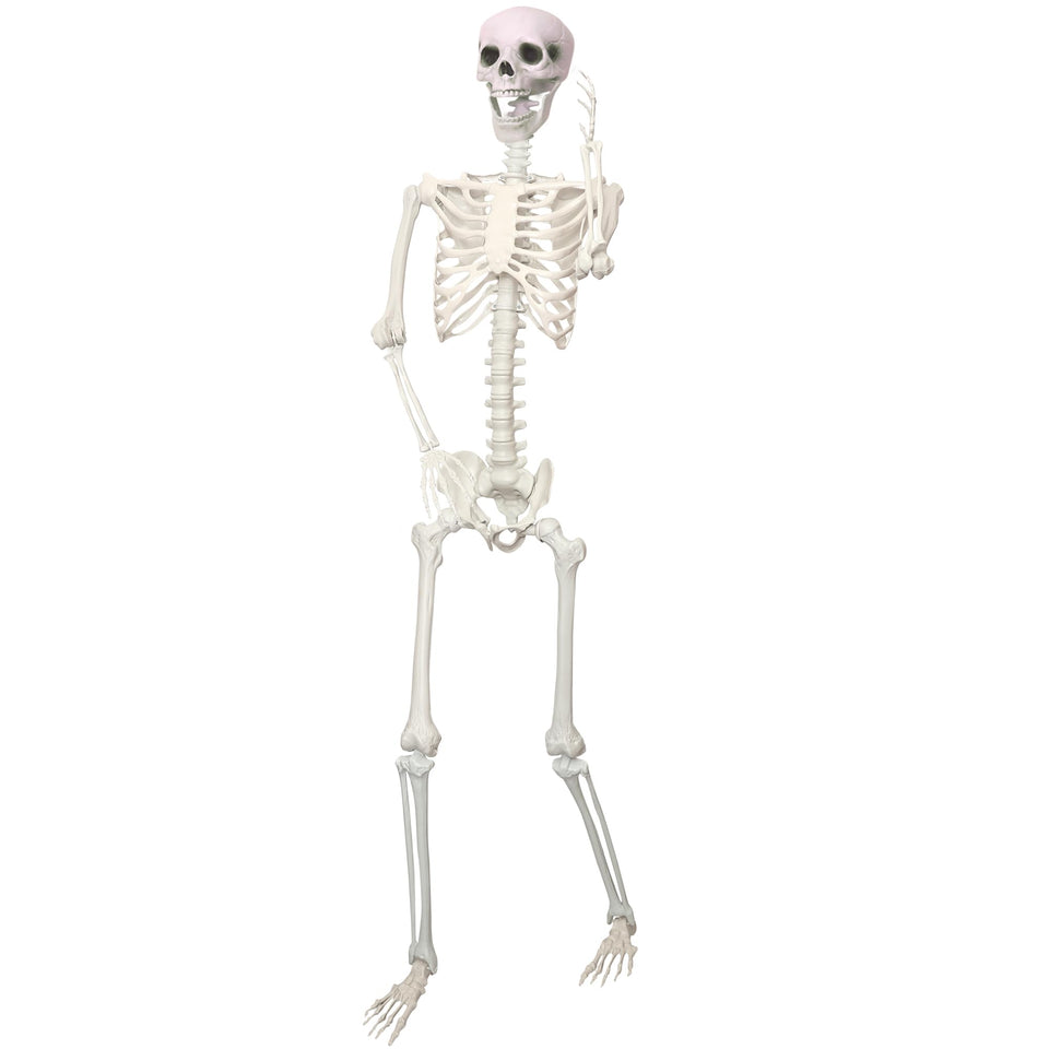 LOSFOTBO 5.9ft skeleton full-body poseable model for realistic Halloween decor.