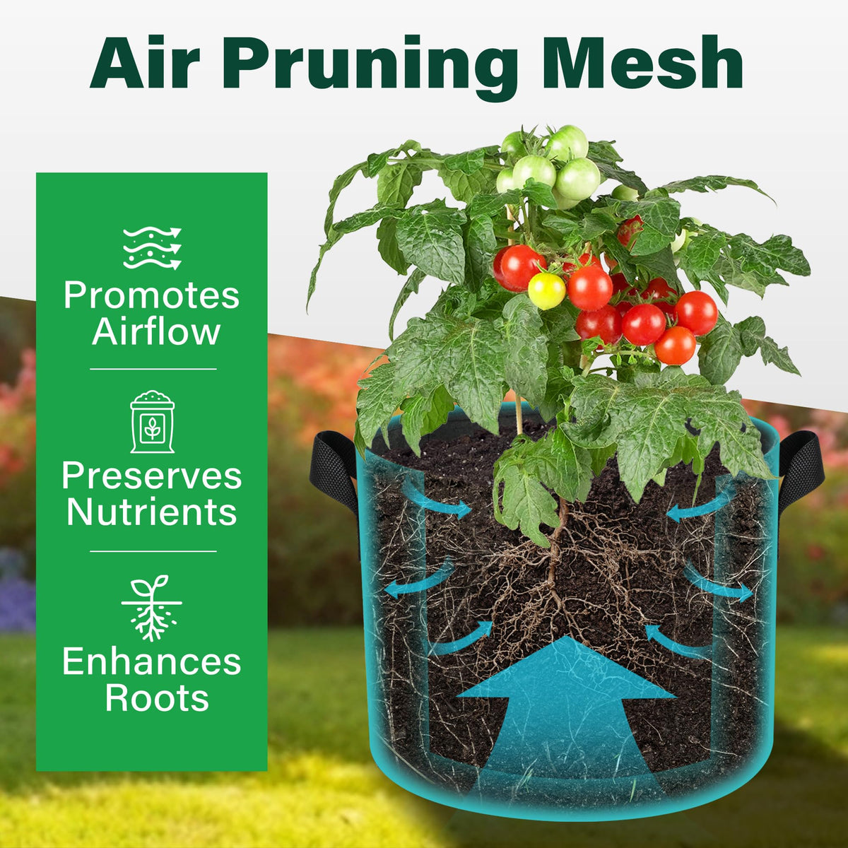 LotFancy grow bag BPA-free fabric for eco-friendly planting.