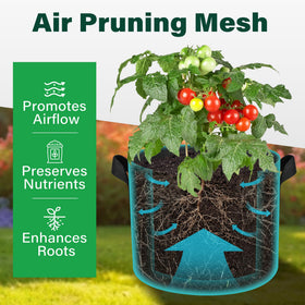 LotFancy grow bag BPA-free fabric for eco-friendly planting.