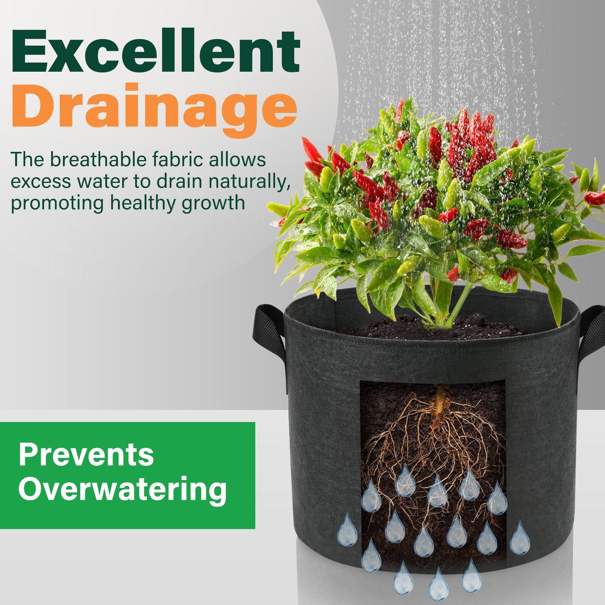 LotFancy 50cm x 40cm bag dimensions support versatile plantings.
