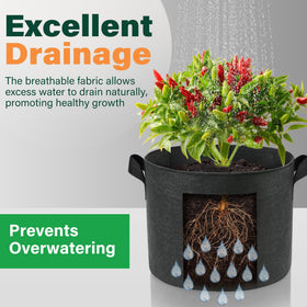 LotFancy 50cm x 40cm bag dimensions support versatile plantings.