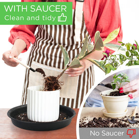 LotFancy saucer used as a decorative tray in home garden setups.