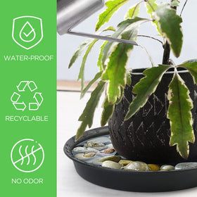 LotFancy saucer is a versatile tray for plants, seeds, and decor.