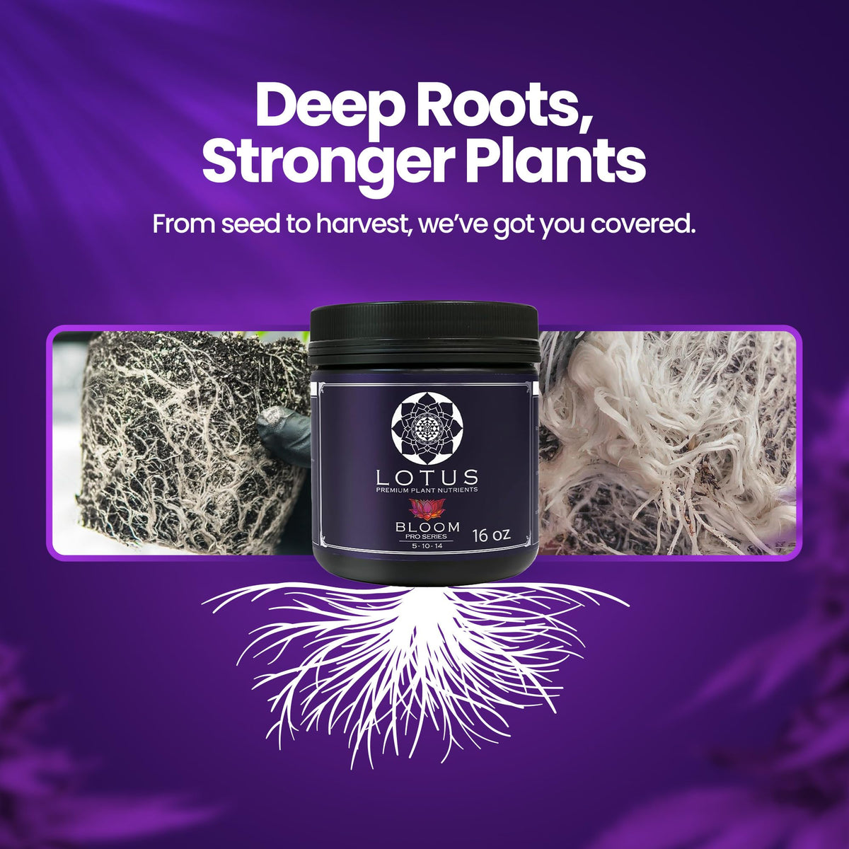 Bloom Pro scoop measures powder for precise flowering feeding.